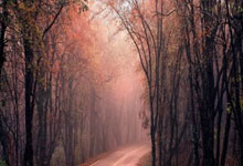 开云体育：[国际足球]领先三球被扳平 曼联惊险进决赛.