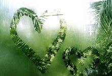 100冠,那么近却又那么远.......