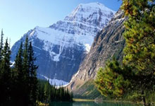 [NBA]西蒙斯22分 开拓者主场险胜猛龙.