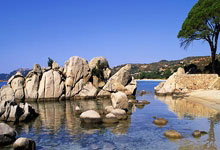 [亚冠]新援首秀进球 海港主场战平.